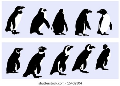 penguins,  vector collection for designers