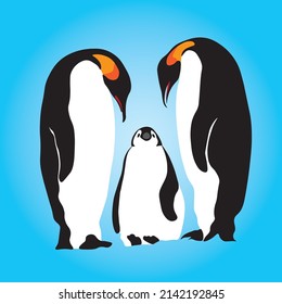 Penguins vector illustration cartoon character