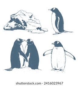 Penguins vector illustration. Collection north, penguins and iceberg. antarctica and arctic set