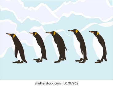 Penguins walking in ice