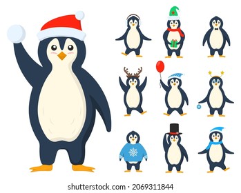 Penguins in warm clothes in flat design. Cute little penguin cartoon characters set for label design. Cold winter symbol. Antarctic bird, animal in different poses set. Vector illustration.