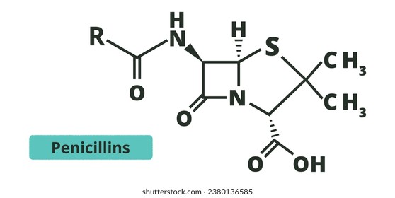 chemische Struktur des Penicillins. Vektorgrafik