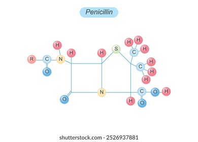 La penicilina es un antibiótico innovador descubierto por Alexander Fleming en 1928. Trata las infecciones bacterianas inhibiendo la síntesis de la pared celular, salvando millones de vidas.