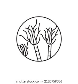 Penicillium mold fungi color line icon. Human diseases. Pictogram for web page, mobile app, promo.