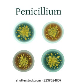 Penicillium mold vector illustration isolated on white background.