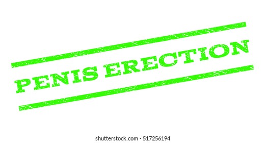 Penis Erection watermark stamp. Text tag between parallel lines with grunge design style. Rubber seal stamp with dust texture. Vector color ink imprint on a white background.