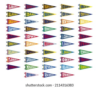 Pennant Event Flag Design USA State. University Pennant.