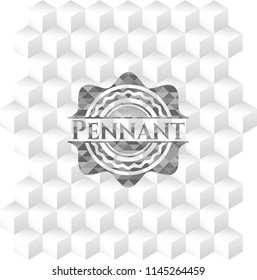 Pennant realistic grey emblem with cube white background