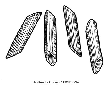 Penne rigate, pasta illustration, drawing, engraving, ink, line art, vector