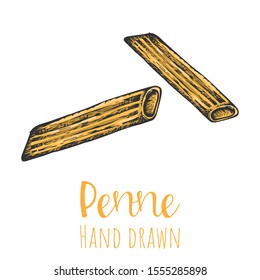 Penne type pasta hand drawn vector illustration, isolated sketched pasta shape.