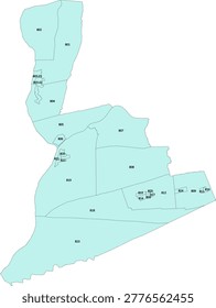 Pennsylvania State Northumberland County vector Census Tract polygon based on Tiger 2020 Census Data