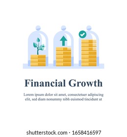Pension fund, saving money, fund raising, long term investment, interest rate, earn more, revenue increase, income growth, capital allocation, safety or security, financial success, vector flat icon