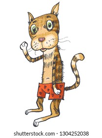 Pensive cat in red shorts. Vector illustration