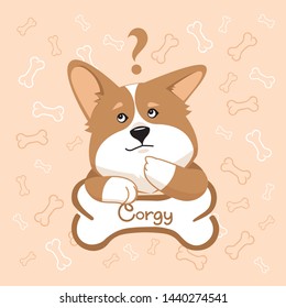 pensive Corgi dog with a bone