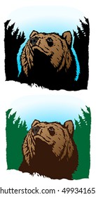 Pensive Grizzly

