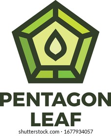 Pentagon Leaf Logo Design Vector. Pentagon Energy Stone Identity