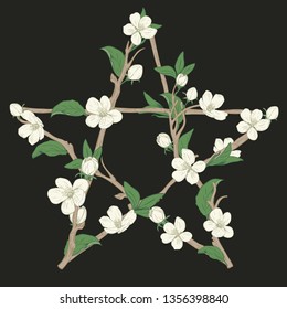Pentagram sign made with branches from a blooming tree. Hand drawn botanical white blossom on black background. Vector illustration.