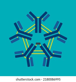 Pentameric IgM structure of Y-shaped immunoglobulin. Protein that used by the immune system as antibody