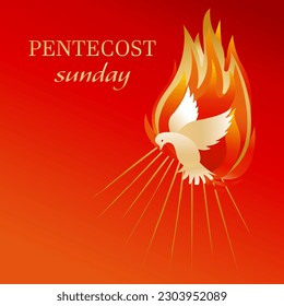 Pentecost Sunday dove church banners vector illustration