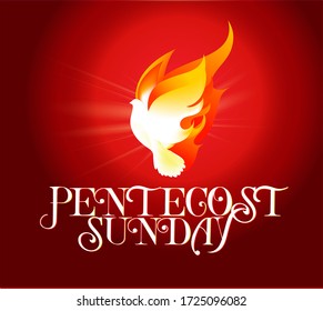 Pentecost Sunday Dove Logo Vector Illustration