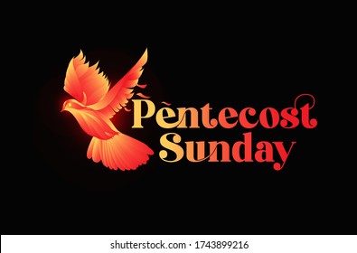 Pentecost Sunday Dove Logo Vector Illustration