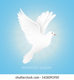 Pentecost Sunday With Dove Vector Illustration