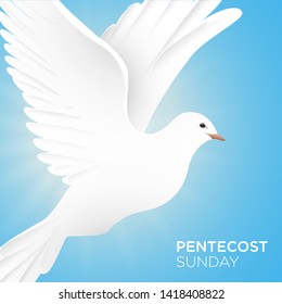 Pentecost Sunday with dove vector illustration