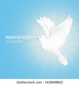 Pentecost Sunday with dove vector illustration
