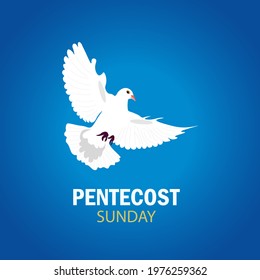 Pentecost sunday with dove, Vector Illustration.