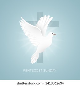 Pentecost Sunday with doves and crosses vector illustrator