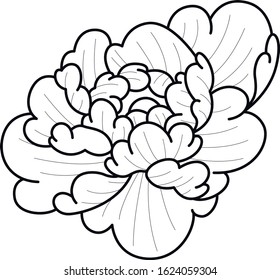 peone flower vector tattoo design