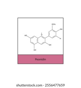 Peonidin skeletal structure diagram.anthocyanin compound molecule scientific illustration.