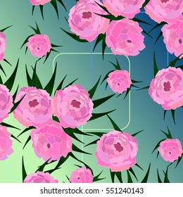 peonies