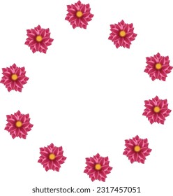 peonies arranged in a circle on transparent background