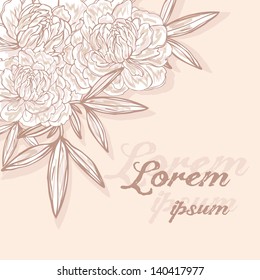 peonies background