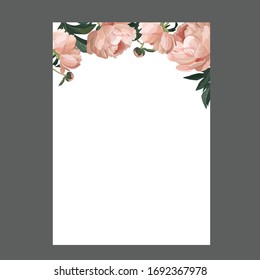 Banner-Vorlage für Peonies. Handgezeichnete Naturelemente auf weißem Hintergrund. Platz für Text. Vektorillustration.