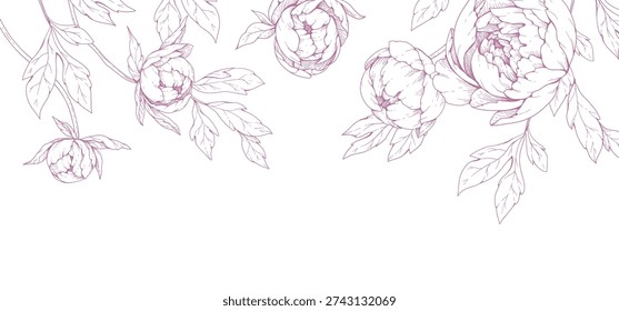 Peonies blooming. Spring background with flowers and brunch. Detailed botanic floral collection for Valentines day invitation, wallpaper art or save the date card