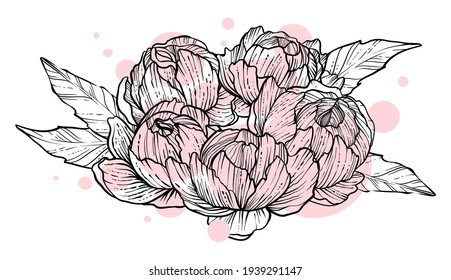 Peonies bouquet, hand drawn vector, monochrome