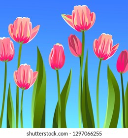 
Peonies bright  Vector Graphics