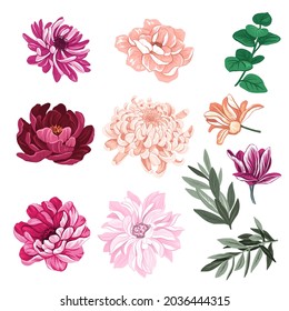 Peonies, dahlias, tulips - blooming flowers. A set of vector hand drawn illustrations with floral theme