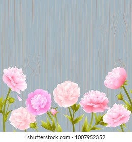 Peonies. Floral background. Border. Pink flowers. Vector illustration.