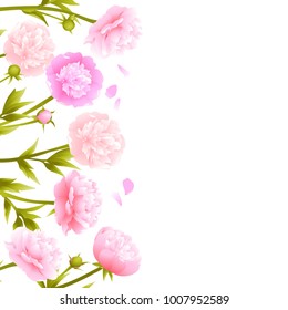 Peonies. Floral background. Border. Pink flowers. Vector illustration.