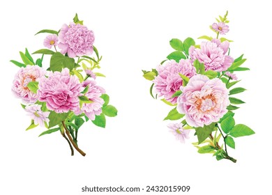 peonies floral wreath illustration design