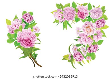 peonies floral wreath illustration design
