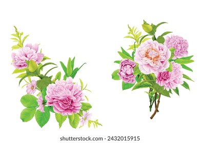 peonies floral wreath illustration design