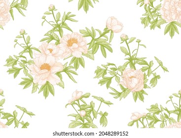 Peonies flowers. Seamless pattern, background. Colored vector illustration. In botanical style In soft orange and green colors.