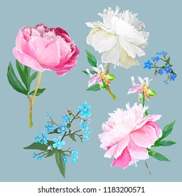 Peonies, forget-me-nots. Scenic image of flowers in vector.