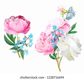 Peonies, forget-me-nots. Scenic image of flowers in vector.