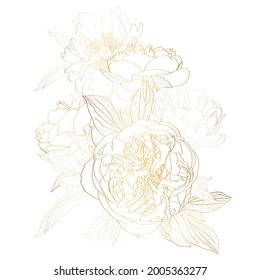 Peonies golden outline bouquet on white background. Spring summer flowers design elements. Leaves, flowers and branches.