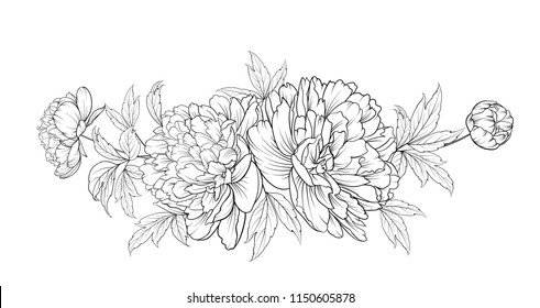 Peonies ink background. Vector illustration.